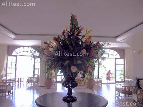 Couples Ocho Rios 13